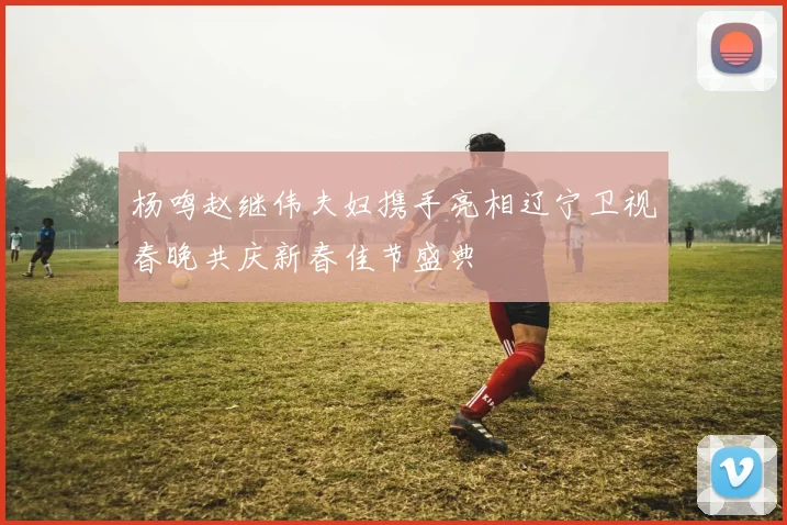 杨鸣赵继伟夫妇携手亮相辽宁卫视春晚共庆新春佳节盛典