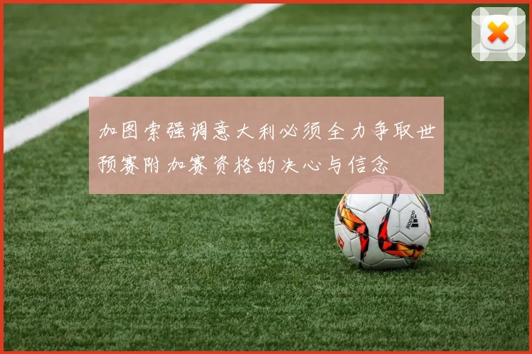 加图索强调意大利必须全力争取世预赛附加赛资格的决心与信念