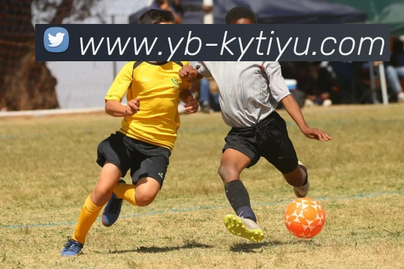 开云体育APP 高清赛事图