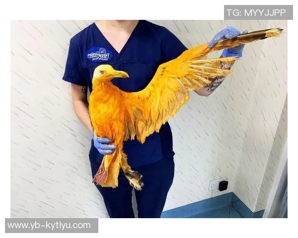 伊森妈妈调侃卡鲁索防守表现真是让人哭笑不得的精彩瞬间